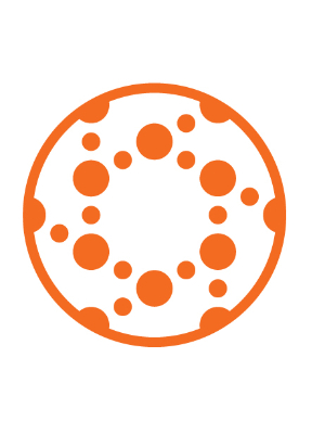 Solid Bio Logo